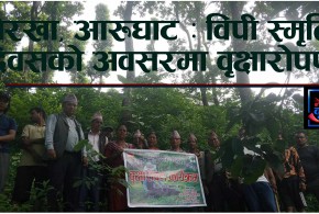 गोरखा, आरुघाट : विपी स्मृति दिवसको अवसरमा वृक्षारोपण
